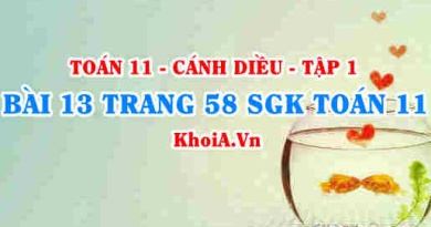 Bài 13 trang 58 SGK Toán 11 tập 1 Cánh Diều